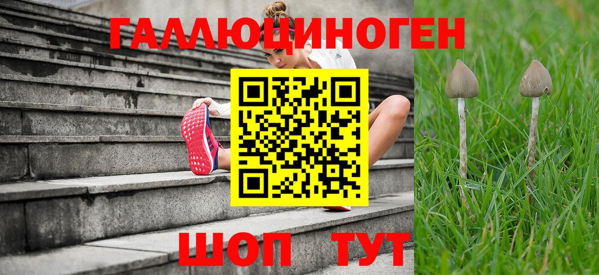 Псилоцибиновые грибы MAGIC MUSHROOMS  купить закладку  Арзамас  Псилоцибиновые грибы прущие грибы  Вход с VPN 